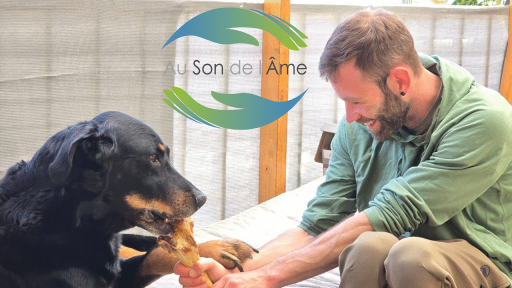 Un adieu, une rencontre, une nouvelle compréhension : Le chemin parcouru avec mon âme-canine